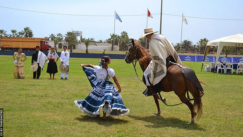 Trujillo_Cavalo Peruano de Passo