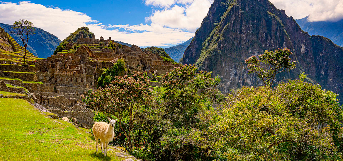 Machu Picchu, the Lost City of the Incas