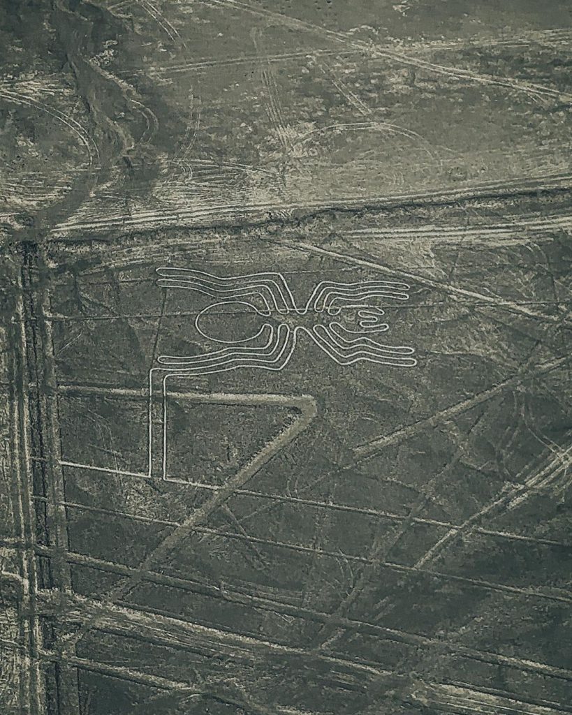 The Spider, Nazca Lines