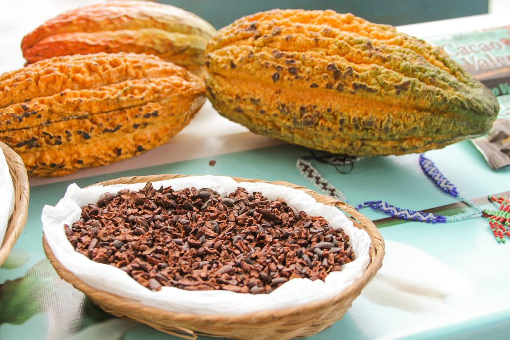 The Cacao Production Journey