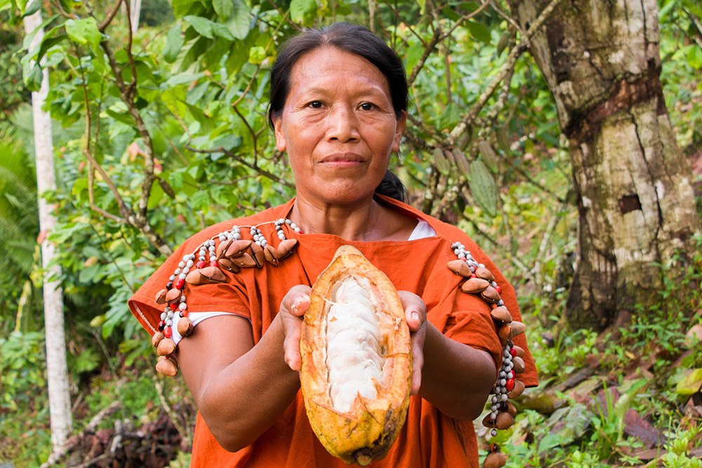 The Most Delicious Cacao Fruit