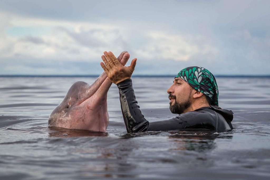 personas con delfin