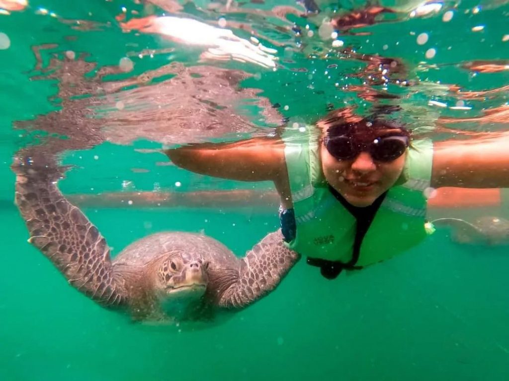 mujer nadando con una tortuga