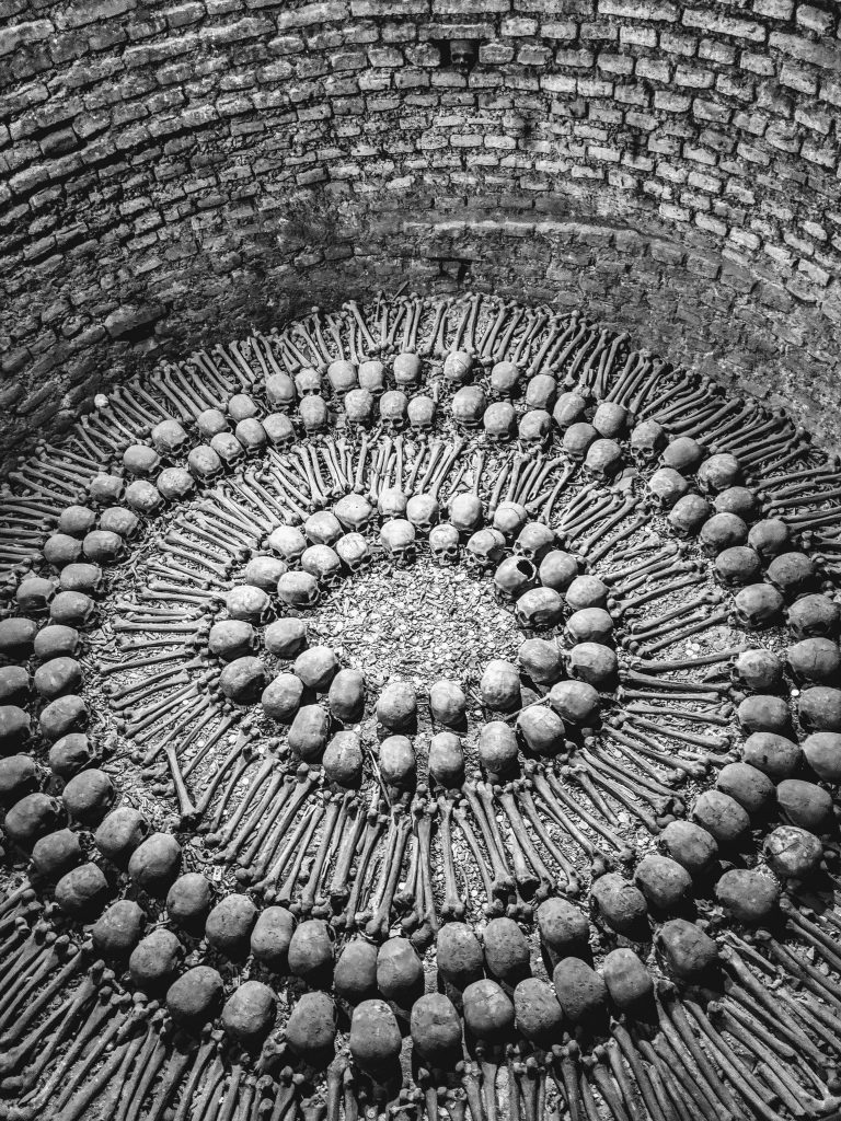 huesos humanos colocados de forma circular
