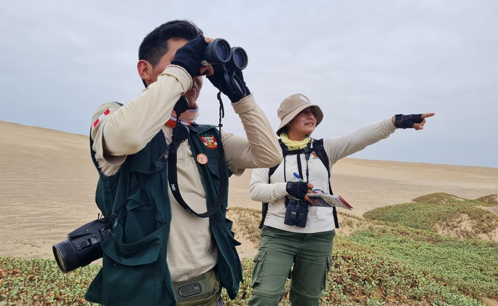 Avistamiento de aves en Perú