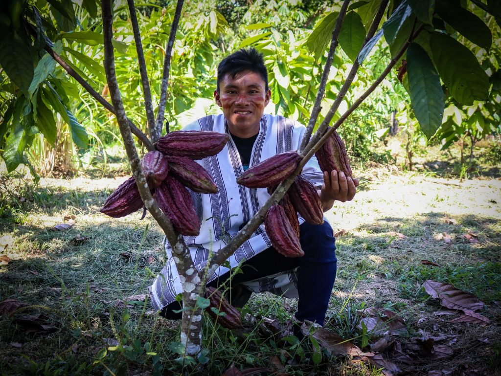 hombre sujetando cacao 