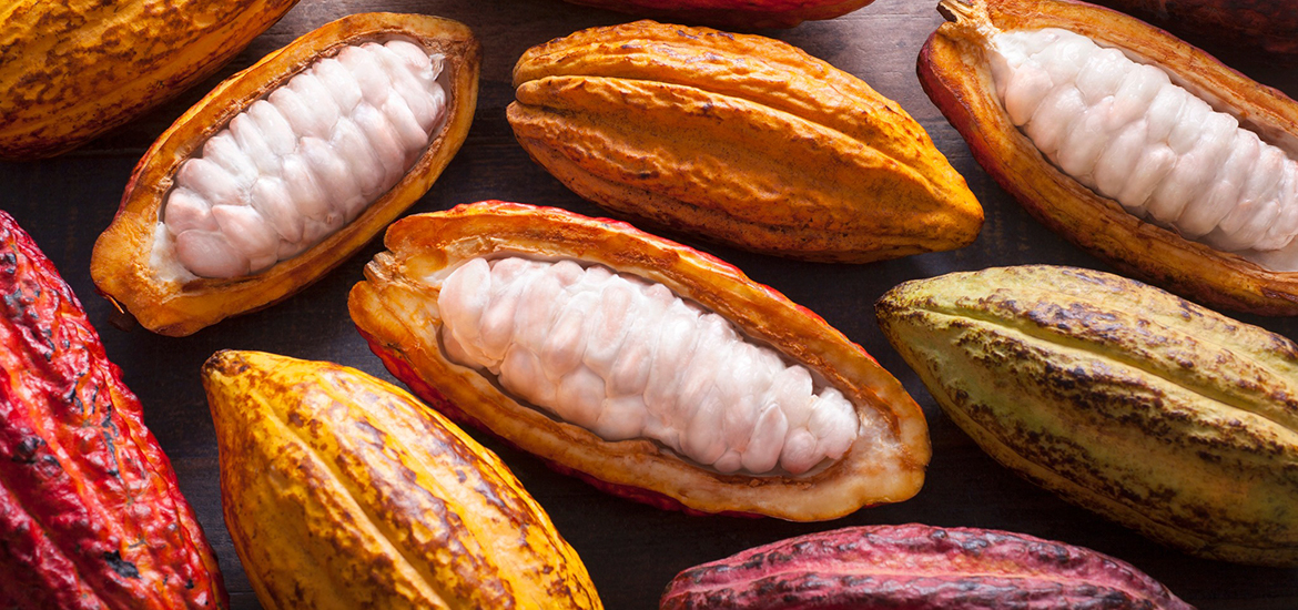granos crudos de Cacao
