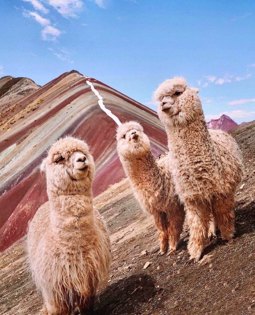 Montaña de colores en Perú