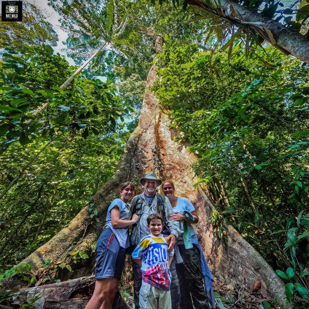reserva nacional de tambopata, selva peruana, la selva de peru