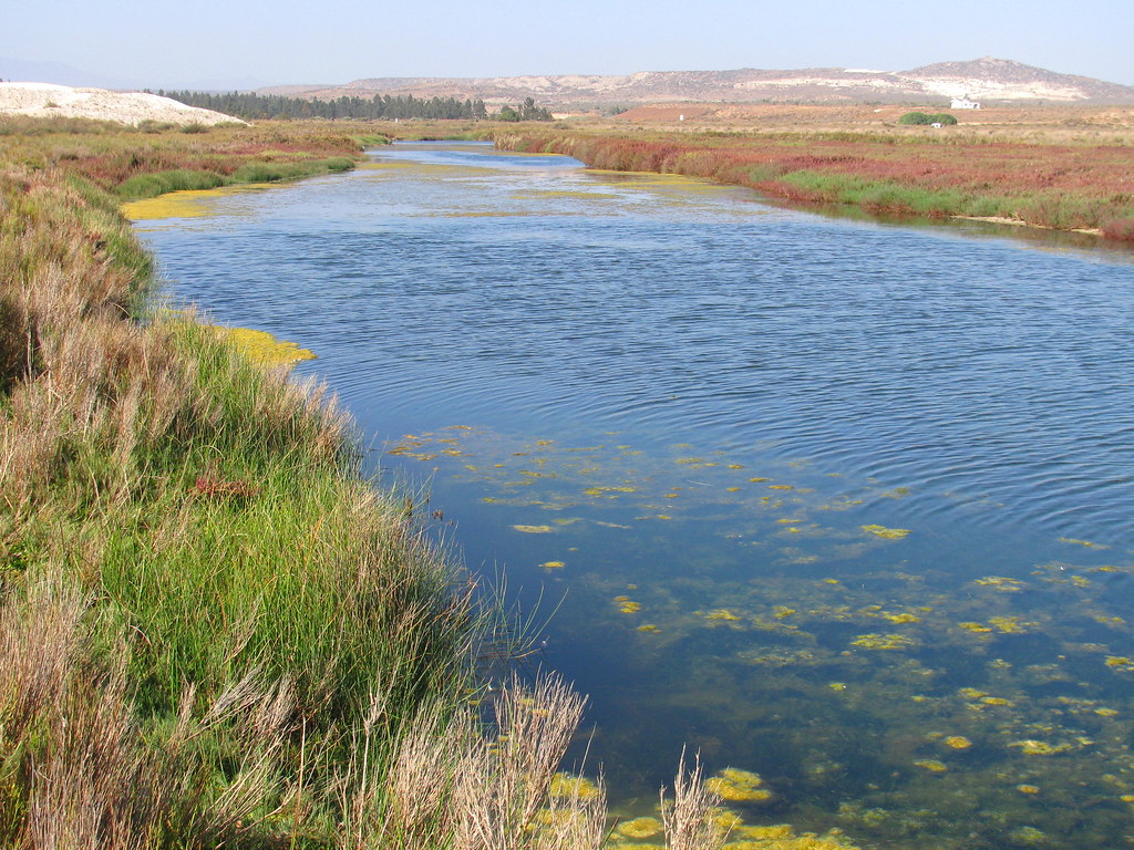 Humedal de la Laguna del Indio en la Reserva Nacional Salinas y Aguada Blanca sitio Ramsar