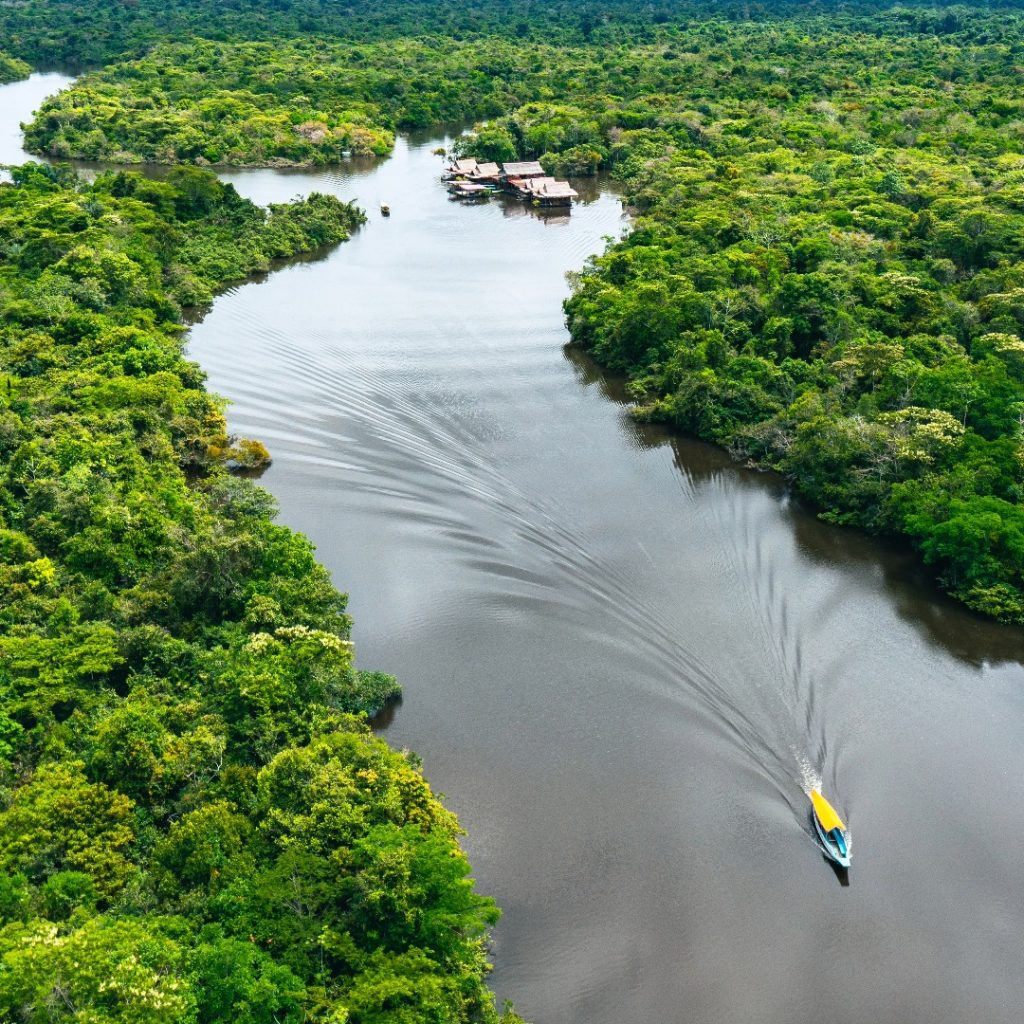 Amazonia Peruana