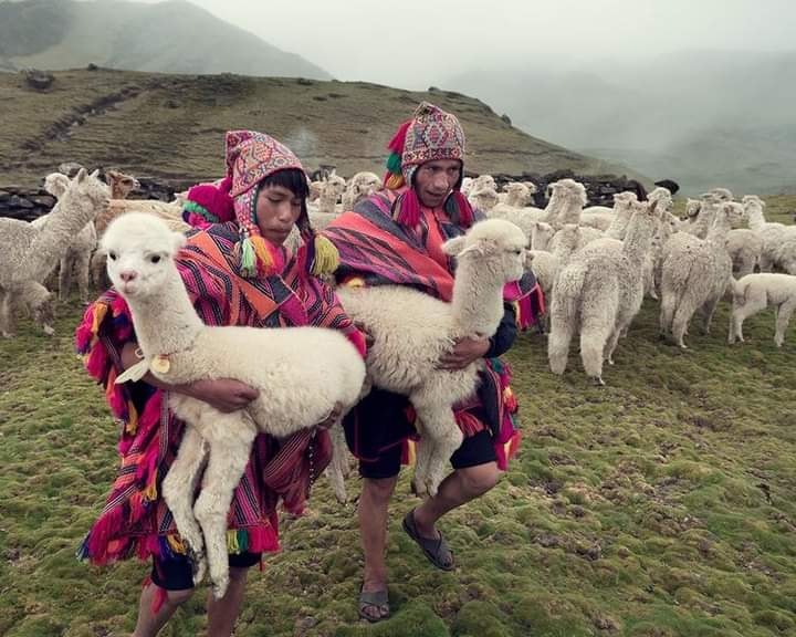 Comunidades Andinas de la sierra Peruana