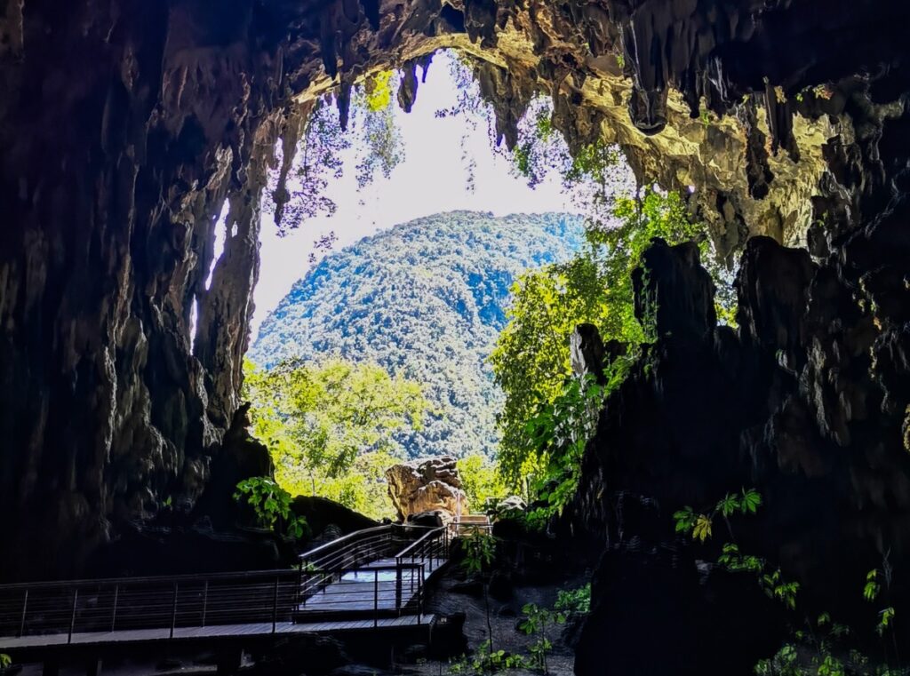 Entrada de la Cueva de las Lechuzas con pasarela interior y vista al bosque y montañas desde el interior de la caverna