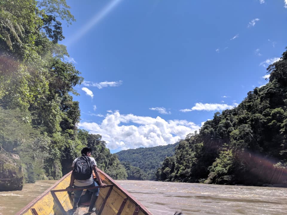 Amazonia Peruana 