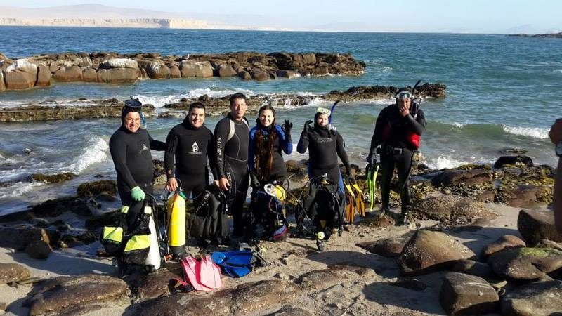 Buseo en las costas de Paracas