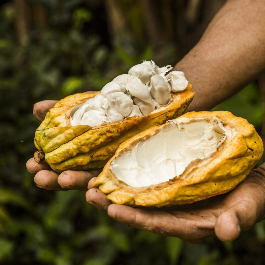 El Cacao Peruano