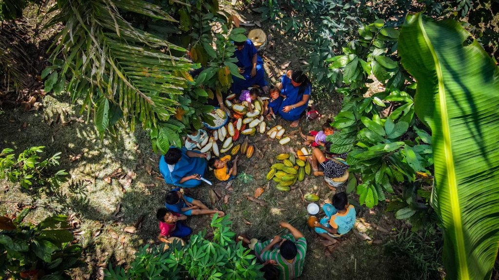 Comunidades Cacaoteras de Perú
