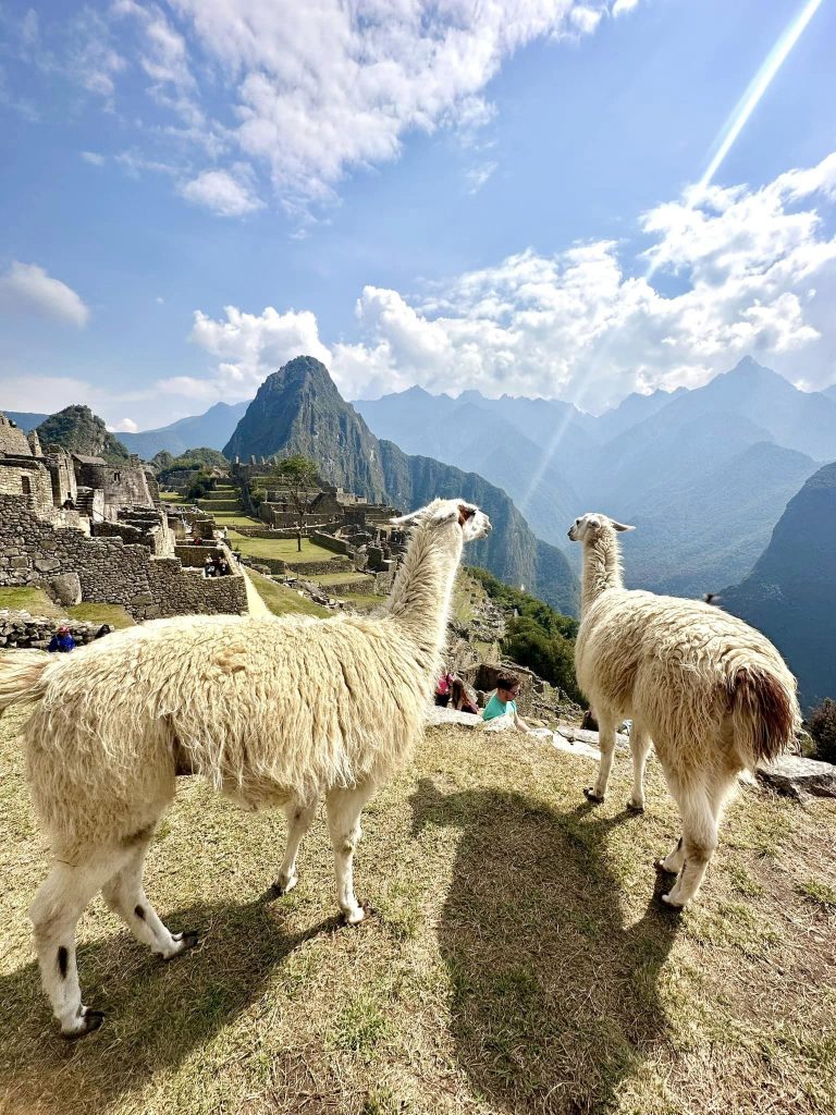 Ciudadela Precolombina de Machu Picchu