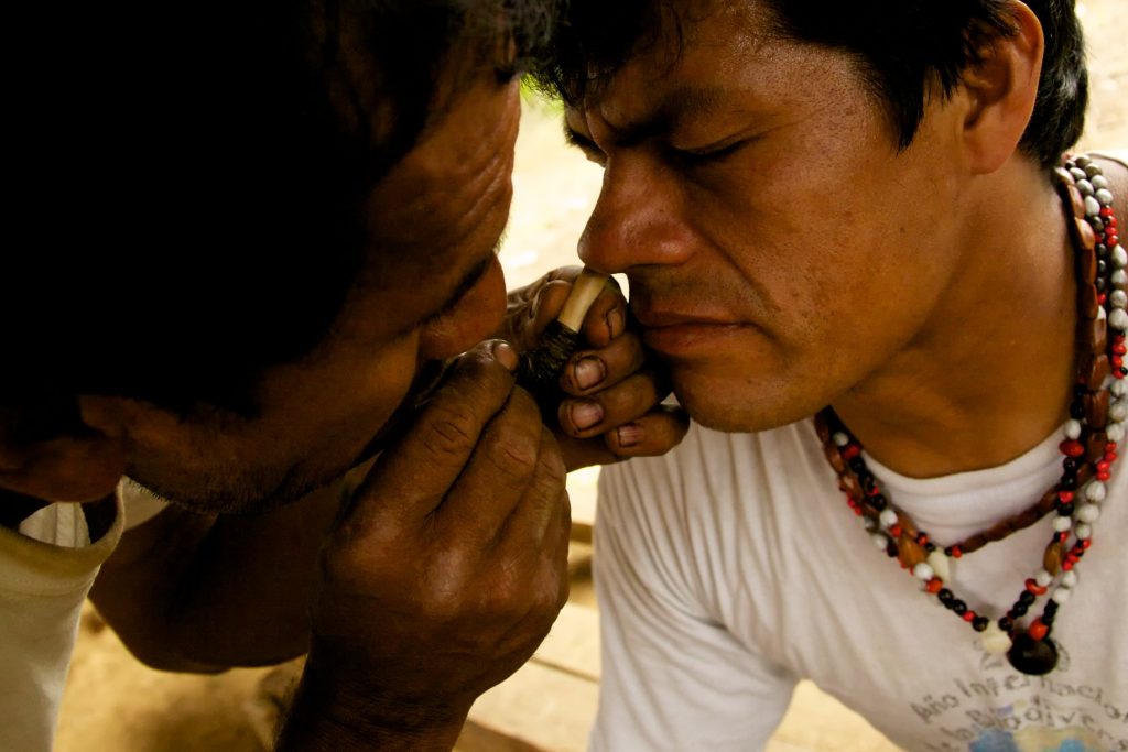 La selva de Madre de Dios