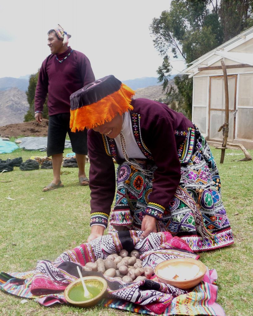 Variedad de papas en el Perú