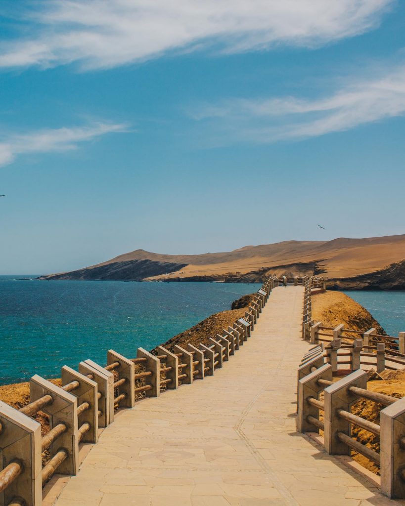 Costas de Paracas, en la region de Ica