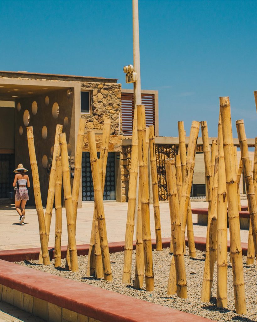 Museo de Paracas