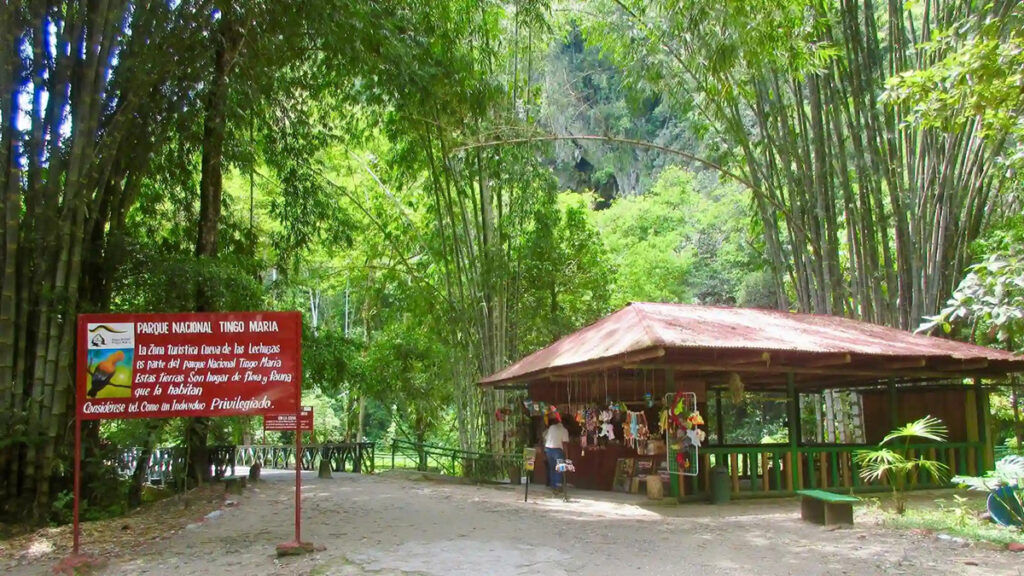 Ingreso al Parque Nacional Tingo María rodeado de vegetación de selva alta y un módulo de atención al visitante