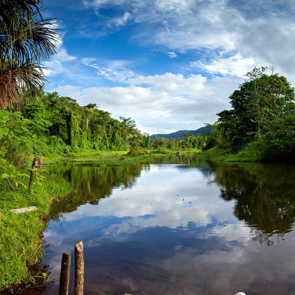 Afluentes del río Amazonas