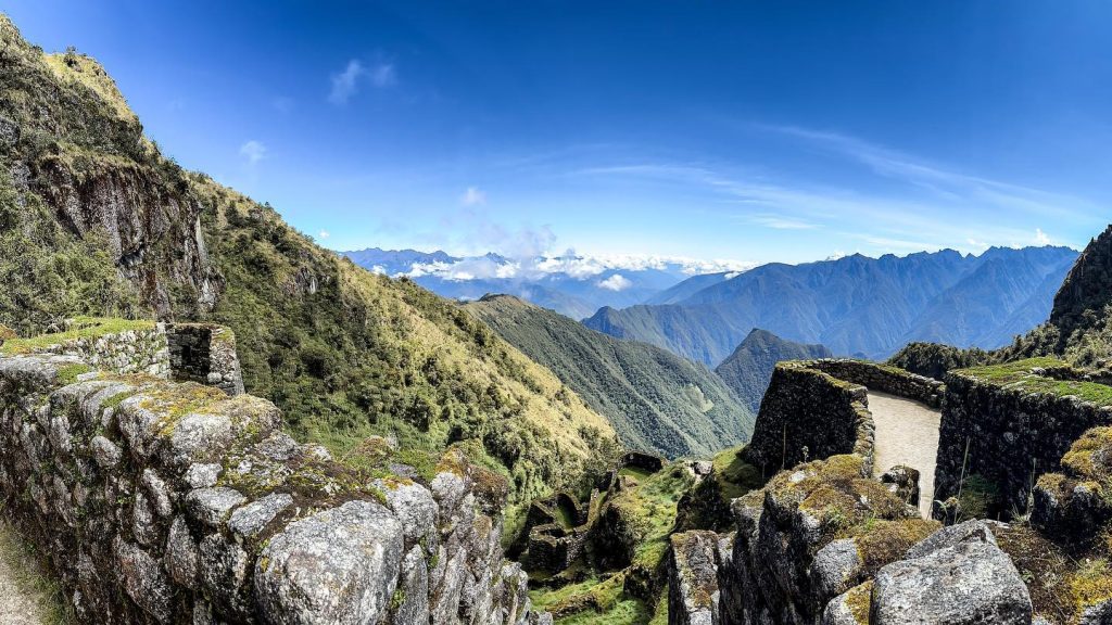 Flora y fauna en el Camino Inca