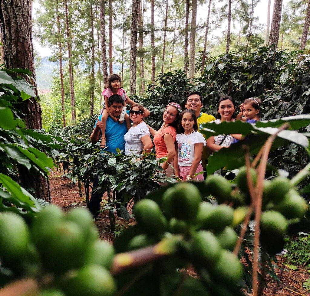 Familia recorriendo una finca cafetalera en Villa Rica, Pasco, durante una experiencia turística sobre el cultivo y cata del café peruano