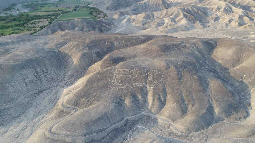 Vista panorámica de los geoglifos de Palpa en las pampas áridas del sur del Perú, con líneas y figuras grabadas sobre laderas desérticas que rodean los valles de Palpa y Viscas