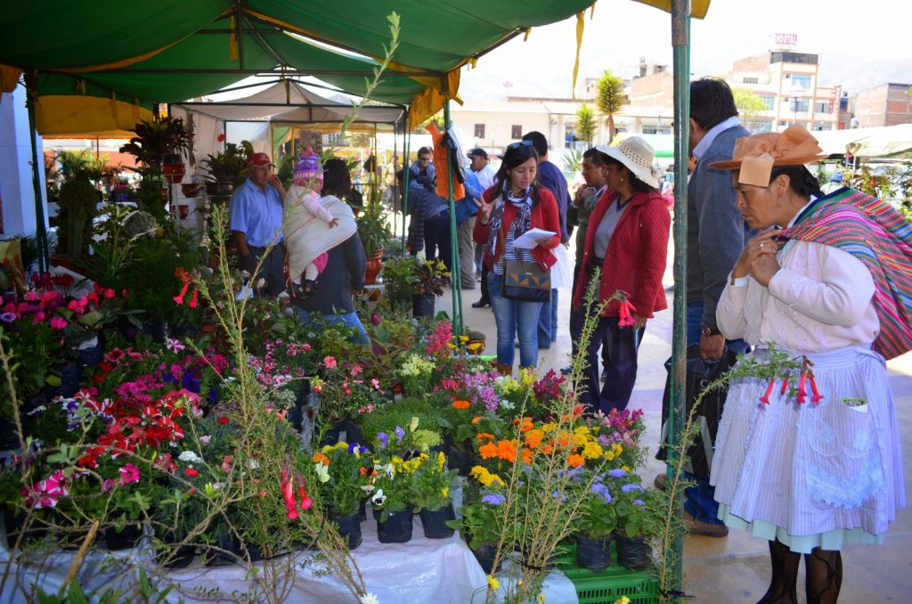 Huancayo, la ciudad de las flores