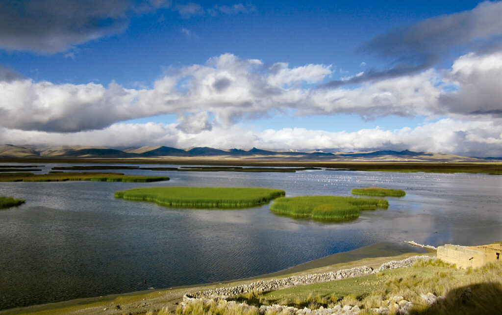 Vista panorámica del Lago Junín con totorales y montañas en el altiplano andino del Perú