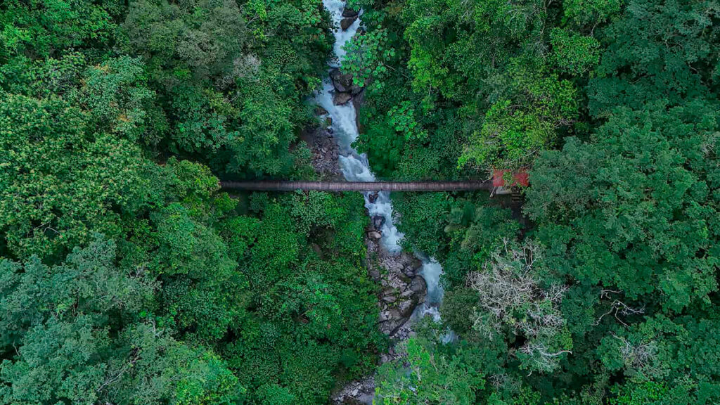 Vista aérea de la Reserva de Biósfera Oxapampa, en la selva central del Perú, un entorno natural donde se cultiva el café sostenible de Villa Rica