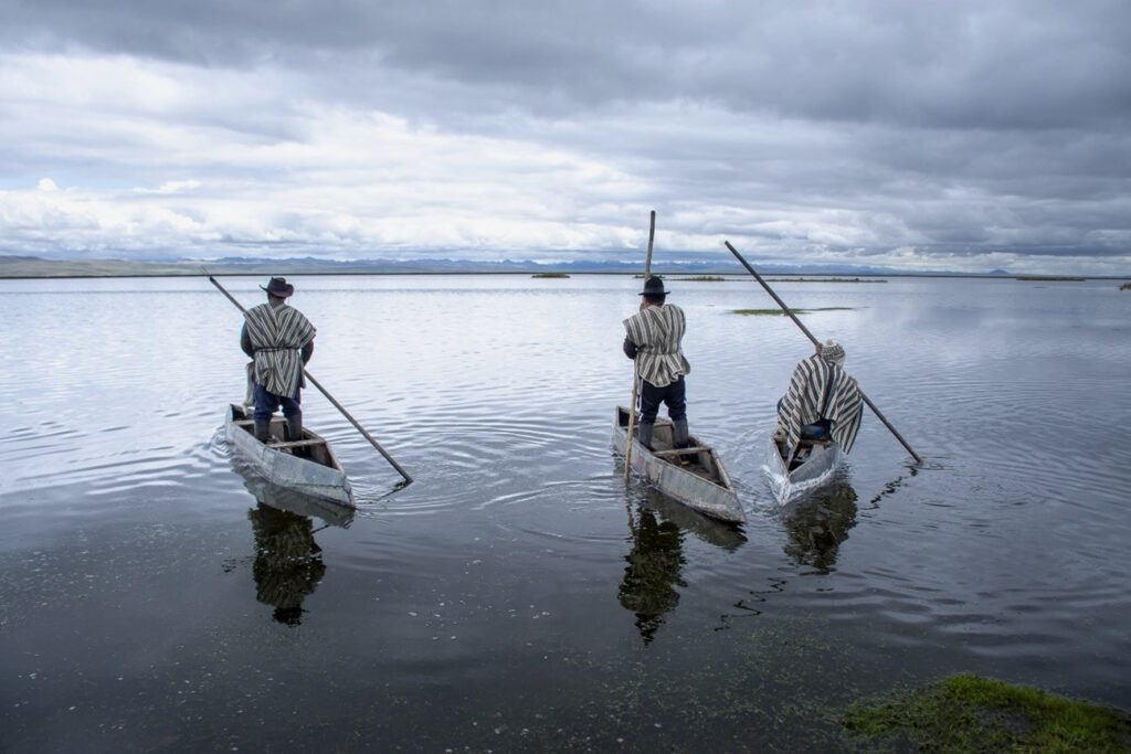 Comuneros navegan en balsas artesanales sobre el Lago Junín en la Reserva Nacional de Junín