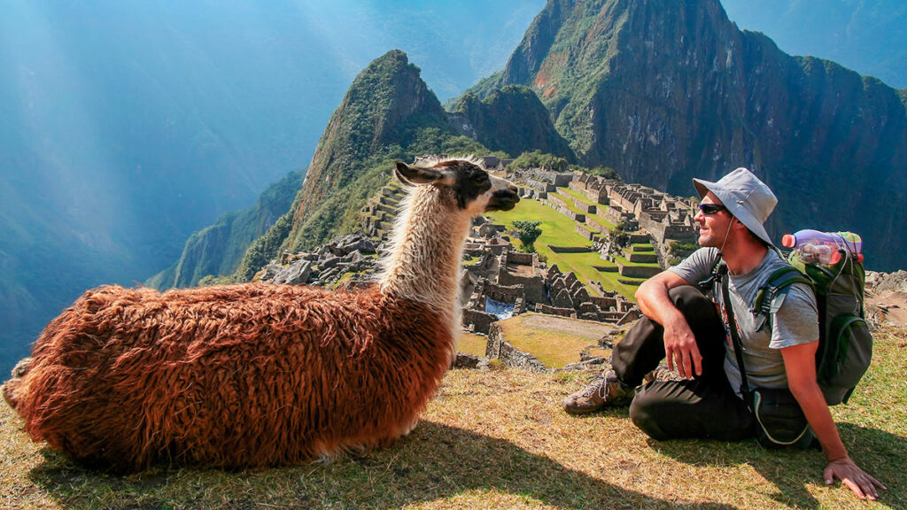 Turista observando una llama en Machu Picchu, ejemplo de convivencia respetuosa con la fauna andina en el Perú