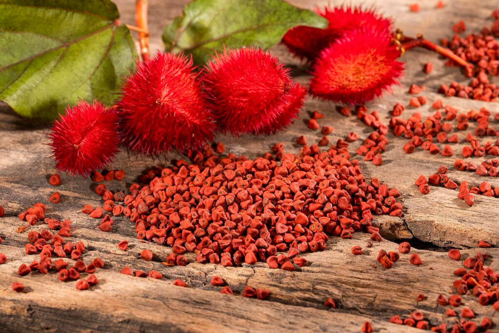 Fruto de achiote