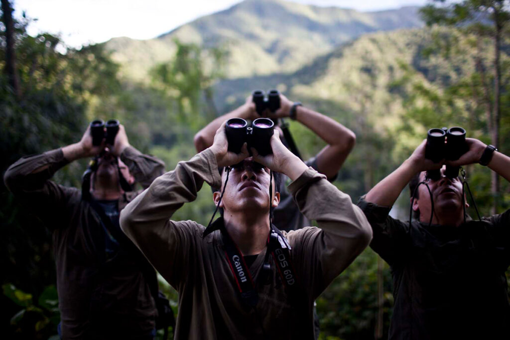 Observación de aves en machu picchu usando binoculares