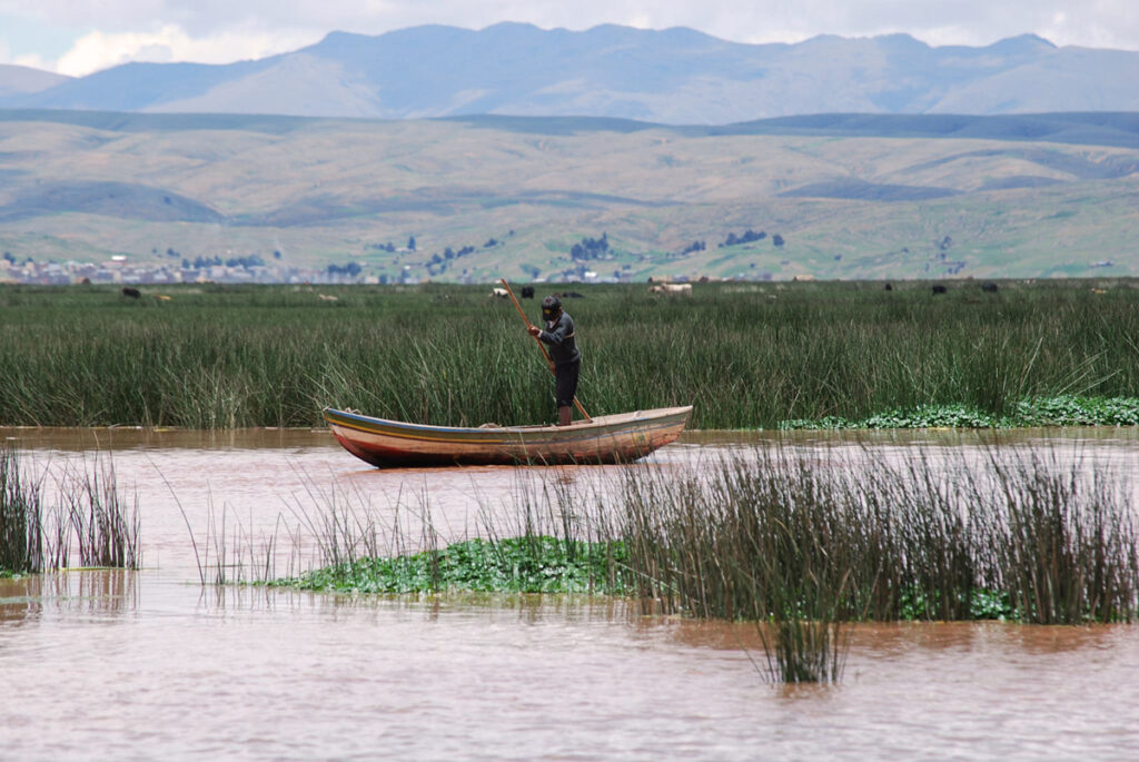 Humedales de Titicaca