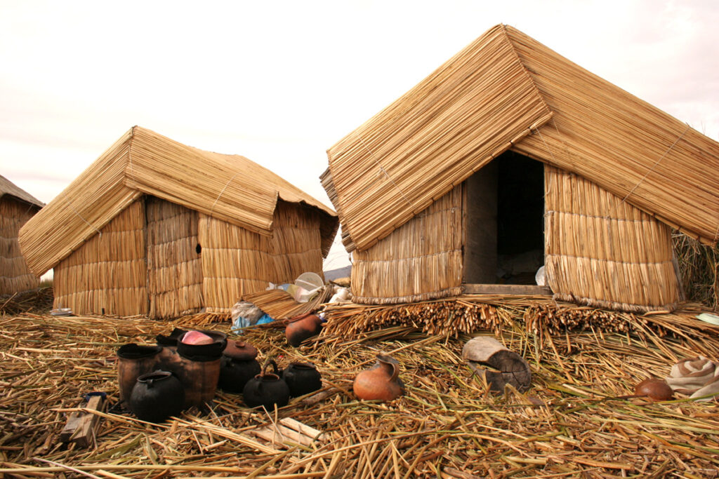 Totora de las Islas de los uros