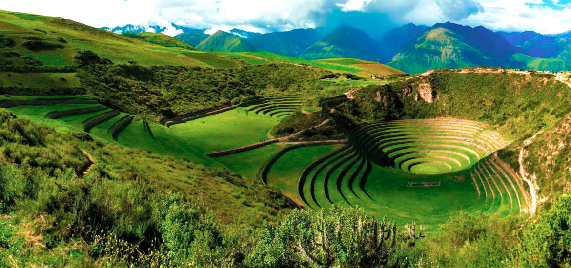 Maras moray