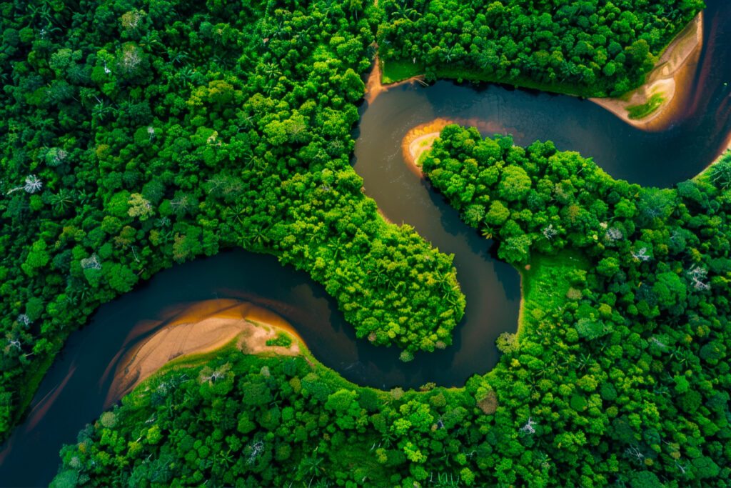 Biodiversidad del río amazonas