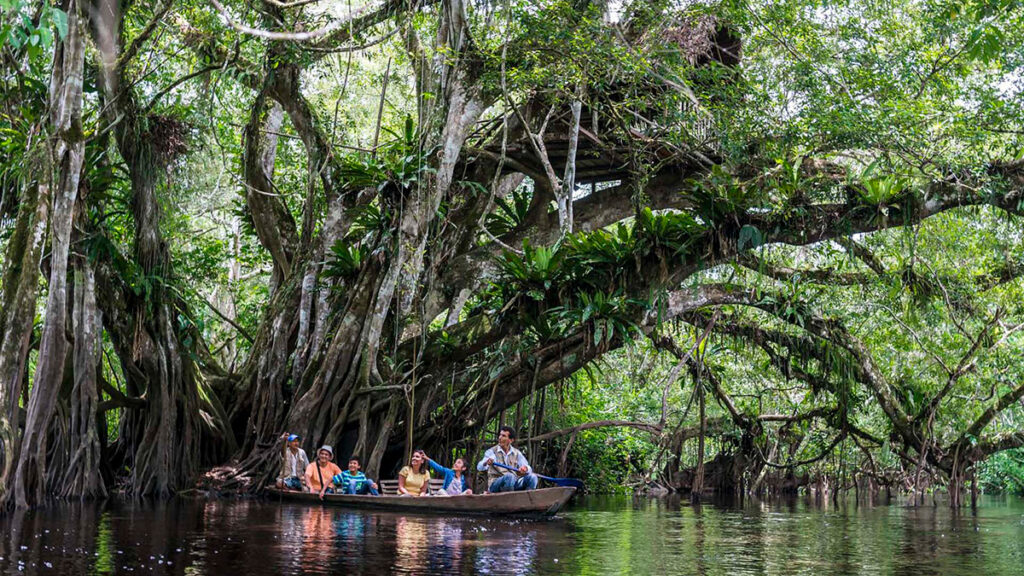 Bosque de protección alto mayo