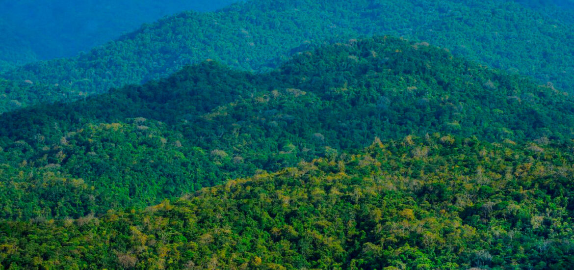 Reserva Nacional Cerros de Amotape