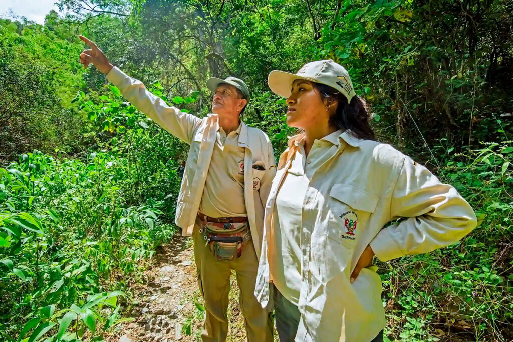 Conservación de los cerros de amotape