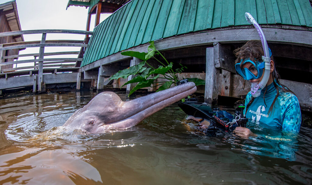 conservación del delfin rosado del amazonas