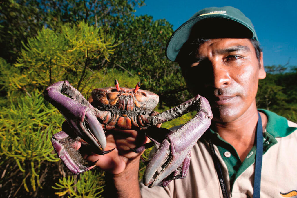 Conservación de los manglares de tumbes