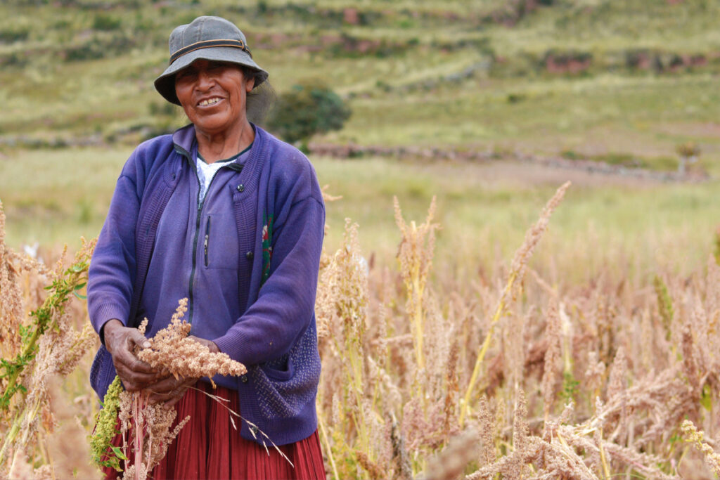 conexión viva con la pachamama