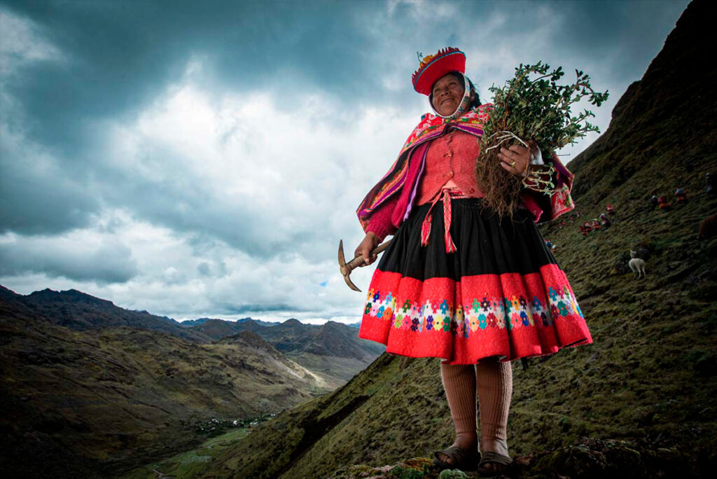 Guardianes del bosque de queñuas en las alturas del perú