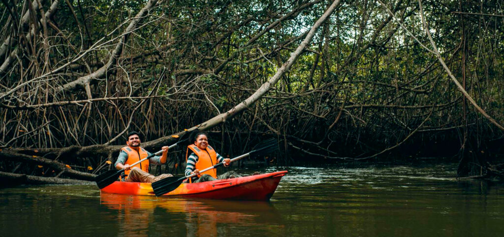 Turismo en Manglares de Tumbes